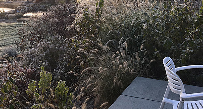 plants framing seating area