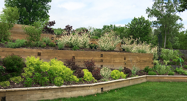 timber planter walls