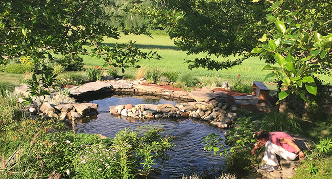 man squatting by pond